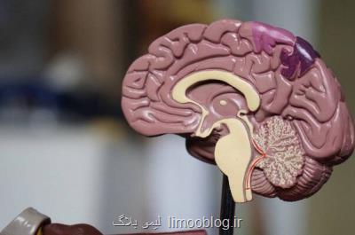 مسابقات دانش آموزی دانش مغز