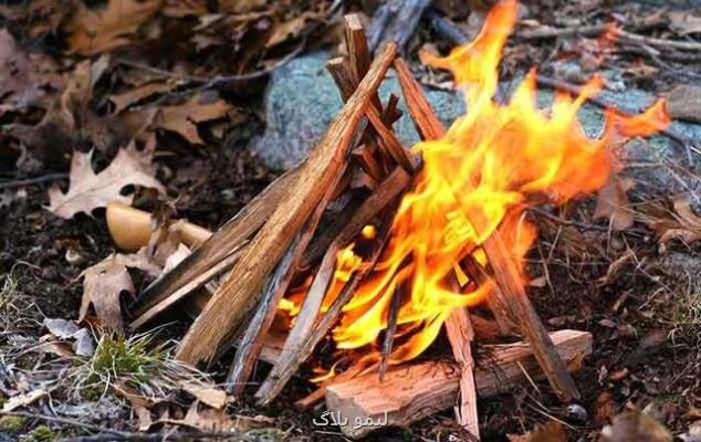 ایجاد آتش از چوب خیس با محصولی فناورانه