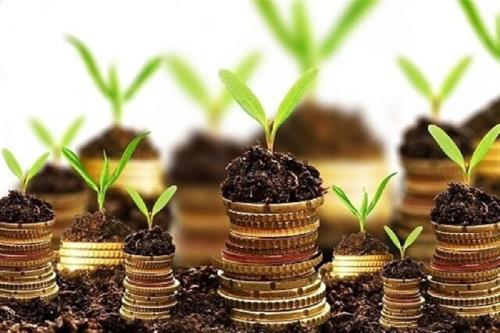 حمایت های بلاعوض صندوق برای دریافت استانداردها و حضور دانش بنیان ها در نمایشگاه های بین المللی