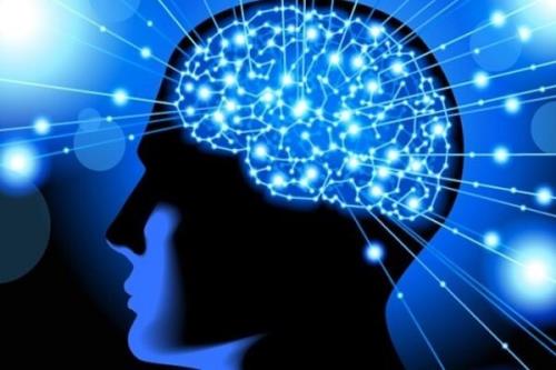 ضرورت توسعه تجهیزات و ابزارهای نوین در زمینه علوم اعصاب
