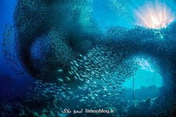 روز بیان سخاوت دریا و آشتی انسان با آن