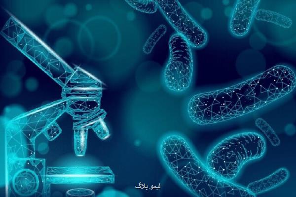 روش افزایش زنده مانی باکتری های فراسودمند در صنایع غذایی به ثبت رسید