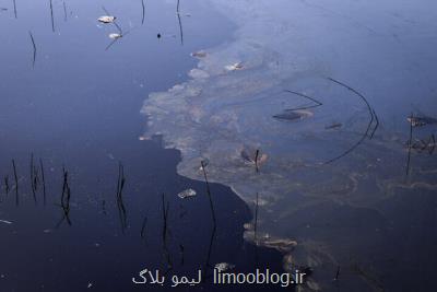 رفع آلودگی نفتی از آب و خاک به روش میکروبیولوژی