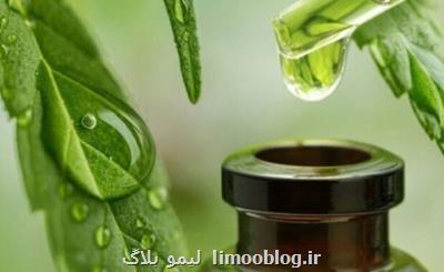 تولید ۴۰۰ محصول در حوزه گیاهان دارویی توسط شرکتهای دانش بنیان