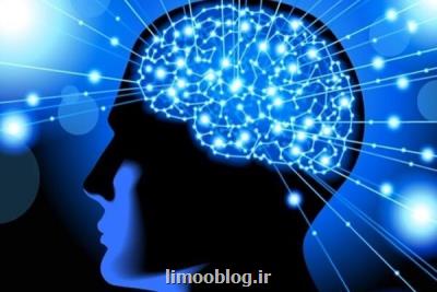 ضرورت توسعه تجهیزات و ابزارهای نوین در زمینه علوم اعصاب