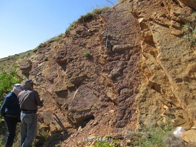 برنامه های سازمان زمین شناسی برای توانمندسازی دانش آموختگان و متخصصان علوم زمین