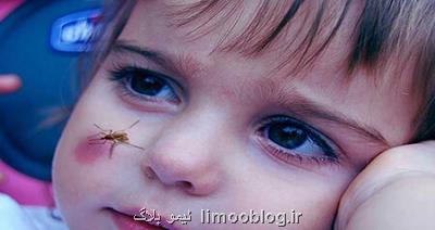 موفقیت نخبگان نانو در تولید کرم موضعی لیشمانیا موثر در درمان سالک