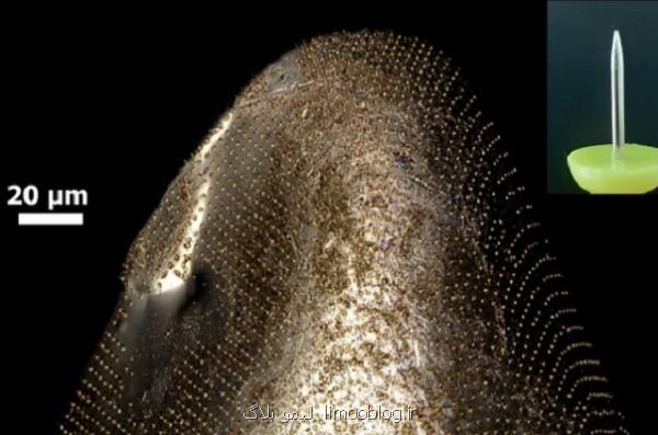 استفاده از آب شکر برای طراحی ریز مدارهای منحنی