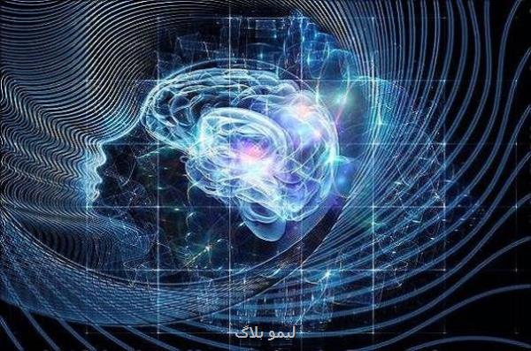 ساخت سنسور ایمنی برای تشخیص زود هنگام آلزایمر