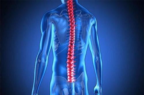 ابداع هیدروژل خاص برای درمان جراحت های نخاعی