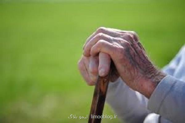 اولین سمینار علمی آموزشی سارکوپنی برگزار می گردد