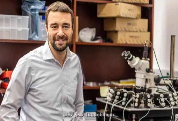 ساخت شبیه ترین کامپیوتر به مغز انسان ساخت شبیه ترین کامپیوتر به مغز انسان