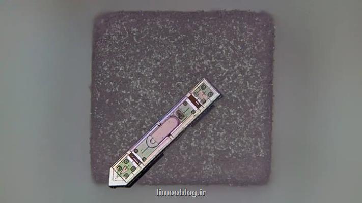 قدرت خواندن ذهن بوسیله یک دانه نمک!