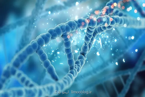 هوش مصنوعی ۳۶۰ هزار گره اثرگذار را در ژن ها شناسایی کرد