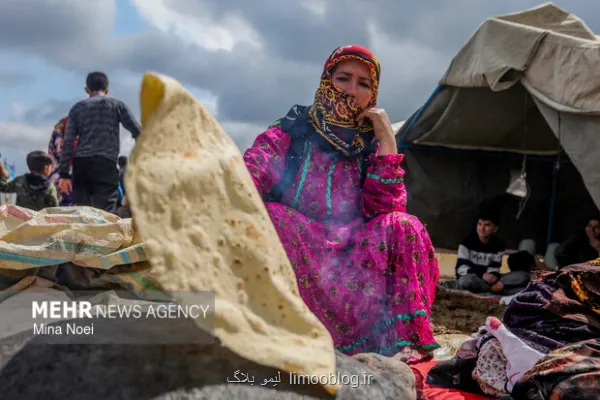 بیمه مجانی زنان روستایی دارای ۳ فرزند و بیشتر
