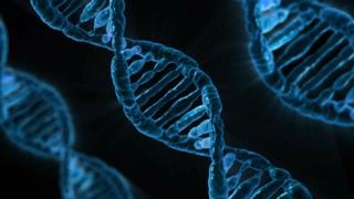 استخراج DNA از سلول گیاهی در دانشگاه بیرجند