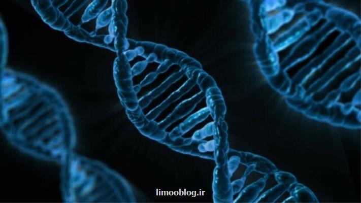 استخراج DNA از سلول گیاهی در دانشگاه بیرجند