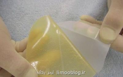 از استخراج تركیب آنتی بیوتیك از سخت پوستان تا صادرات 80 محصول پزشكی هوشمند