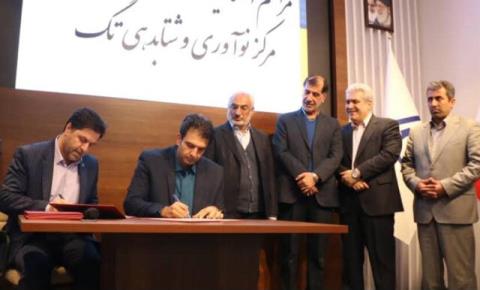 مركز نوآوری وشتابدهی تگ در شهر كرمان راه اندازی شد