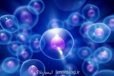 درمان دیابت موش با سلول های بنیادی انسان