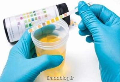 تمدید مهلت ارسال مقالات به هفتمین كنفرانس زئولیت انجمن شیمی