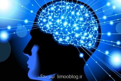 4 طرح تحقیقاتی علوم شناختی بین مراكز علمی ایران و چین اجرا می شود