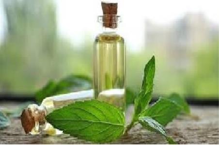 فناوران ایرانی حوزه عطرسازی به فرانسه می روند